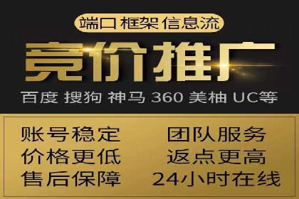 网络推广策略：竞价广告的实践案例